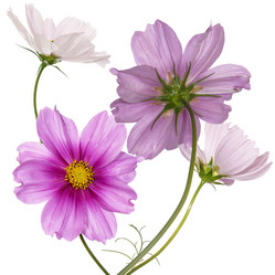 Similar image 8453988