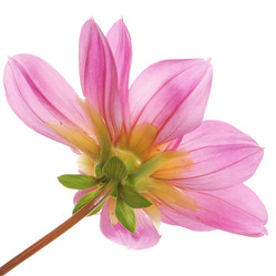 Similar image 8453989