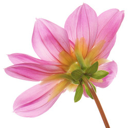 Similar image 8453990