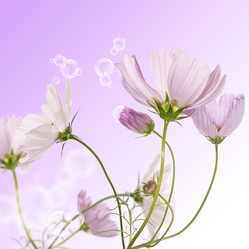 Similar image 8453991