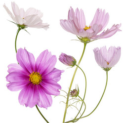 Similar image 8453993