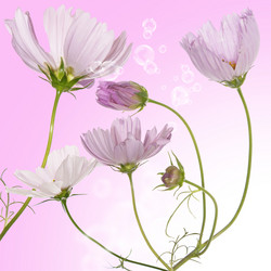 Similar image 8453994