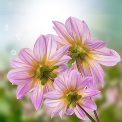 Similar image 8453995