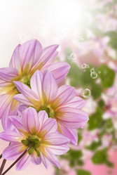 Similar image 8453996