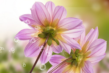 Similar image 8453998