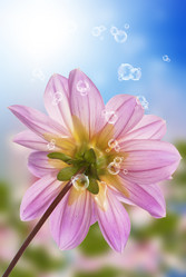 Similar image 8454002