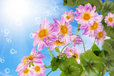 Similar image 8454004