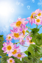 Similar image 8454005