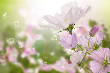 Similar image 8454007