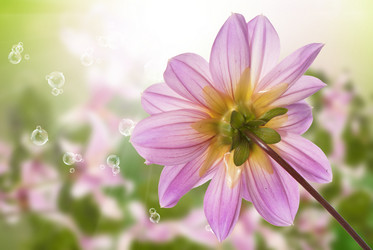 Similar image 8454008