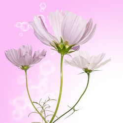 Similar image 8454009