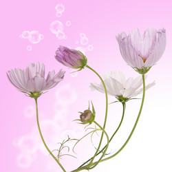 Similar image 8454010