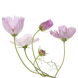 Similar image 8454011