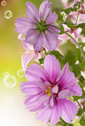 Similar image 8454013