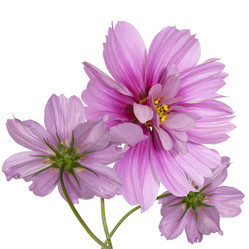 Similar image 8454014