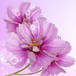 Similar image 8454015