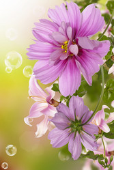 Similar image 8454016