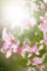 Similar image 8454017