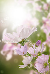 Similar image 8454018