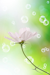 Similar image 8454019