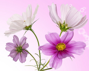 Similar image 8454020