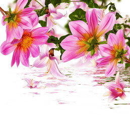 Similar image 8454021