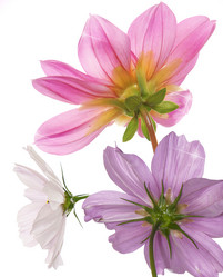 Similar image 8454022