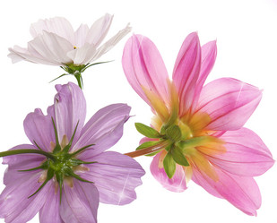 Similar image 8454023