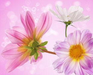 Similar image 8454024