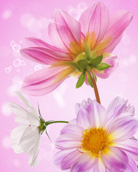 Similar image 8454025