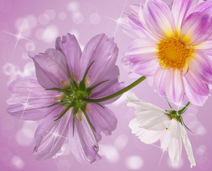 Similar image 8454026