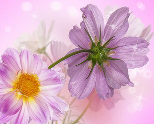 Similar image 8454028