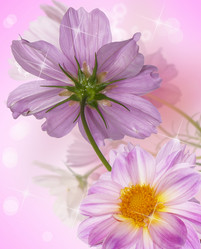 Similar image 8454029