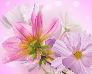 Similar image 8454030