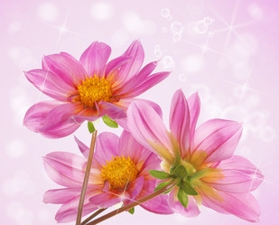 Similar image 8454033