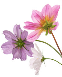 Similar image 8454035