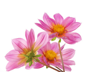 Similar image 8454036