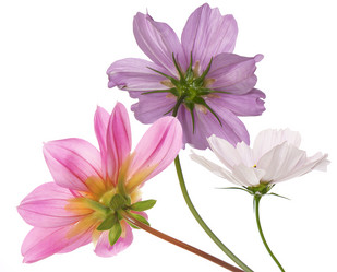 Similar image 8454037