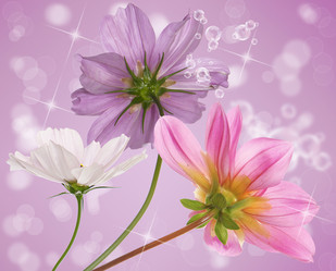 Similar image 8454038