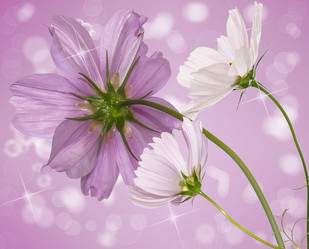 Similar image 8454039