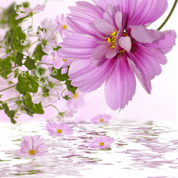 Similar image 8454040