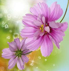 Similar image 8454042