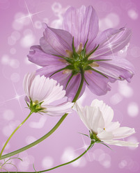 Similar image 8454051