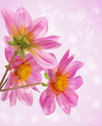 Similar image 8454052