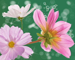 Similar image 8454053