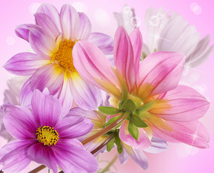 Similar image 8454054