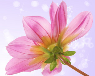 Similar image 8454055