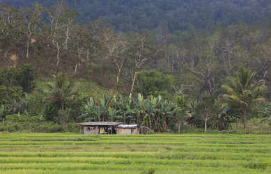 Similar image 8454090