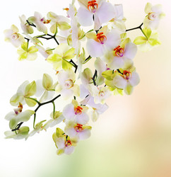 Similar image 8454099