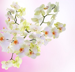 Similar image 8454101